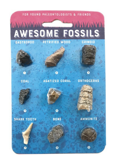 Awesome Fossils - Tigertree