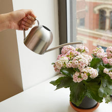 Load image into Gallery viewer, Stainless Steel Watering Can - Tigertree

