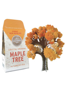 Maple Tree Crystal Growing Kit - Tigertree