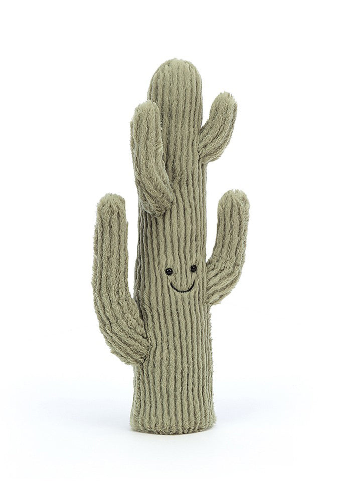 Amuseable Desert Cactus - Small - Tigertree