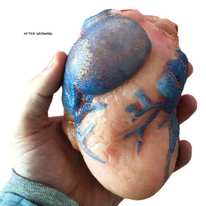 Extra Large Swell Polymer Heart - Tigertree