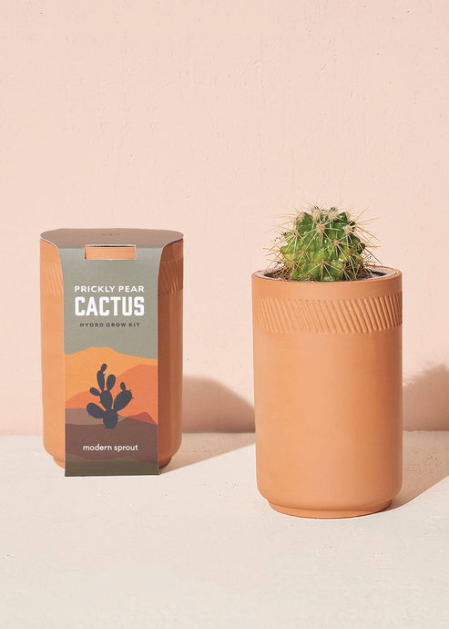 Terra Cotta Kit - Cactus - Tigertree