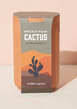 Load image into Gallery viewer, Terra Cotta Kit - Cactus - Tigertree
