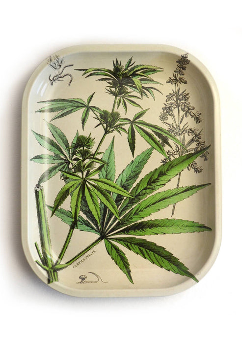 Metal Cannabis Tray - Tigertree
