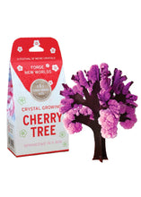 Load image into Gallery viewer, Cherry Tree Crystal Growing Kit - Tigertree
