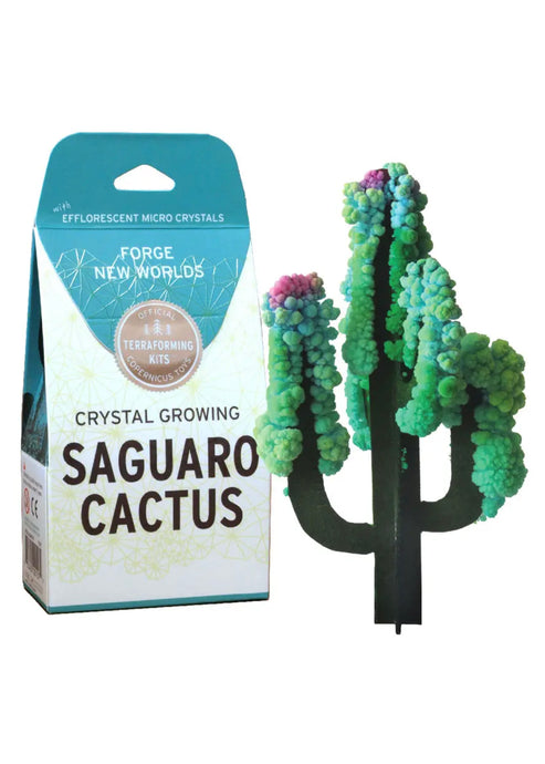 Cactus Crystal Growing Kit - Tigertree
