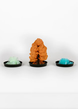 Load image into Gallery viewer, Crystal Growing Kit - Tigertree
