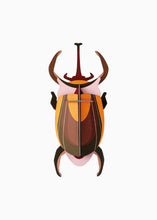 Load image into Gallery viewer, Elephant Beetle - Tigertree
