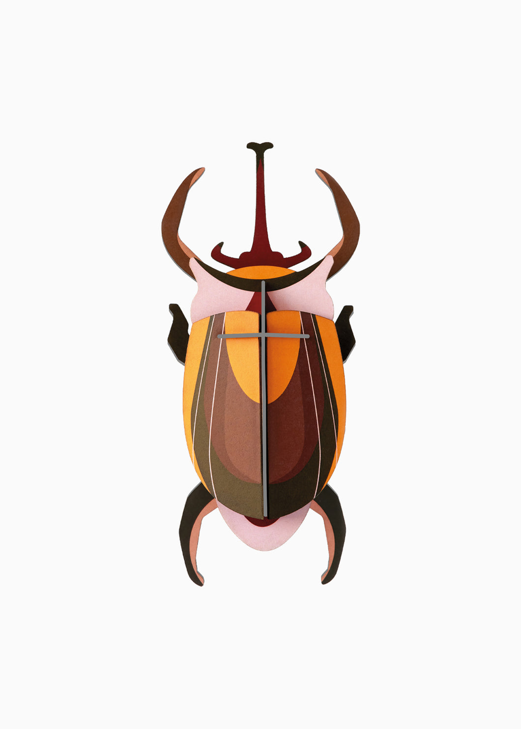 Elephant Beetle - Tigertree