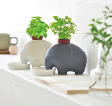 Load image into Gallery viewer, Elephant Planter - Tigertree
