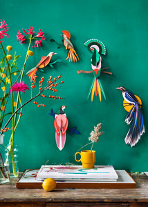 3D Flores Bird Kit - Tigertree