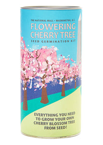 Flowering Cherry Blossom Grow Kit - Tigertree