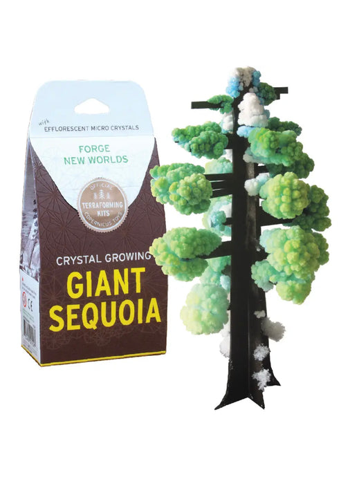 Sequoia Crystal Growing Kit - Tigertree