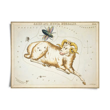 Load image into Gallery viewer, 8x10 Zodiac Print - Tigertree
