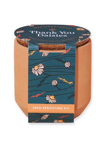 Thank You Daisies Tiny Terracotta Kit - Tigertree