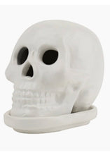 Load image into Gallery viewer, Incense Skull - Tigertree
