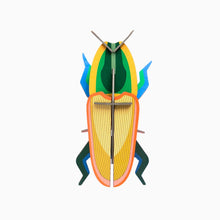 Load image into Gallery viewer, Madagascar Beetle - Tigertree
