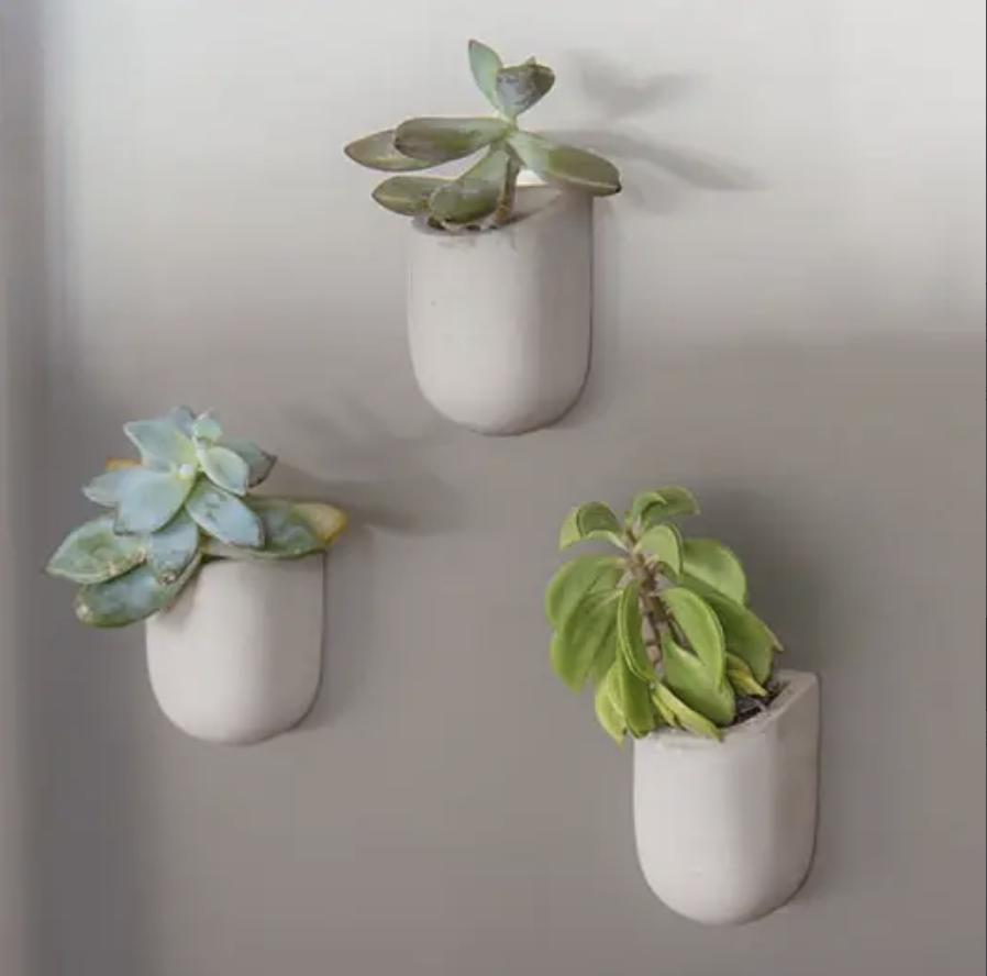 Magnetic Planters - Tigertree