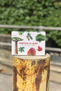 Match a Leaf - Tigertree