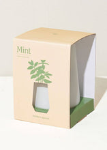 Load image into Gallery viewer, Tapered Tumbler Mint - Tigertree
