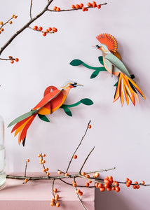 3D Obi Bird Kit - Tigertree