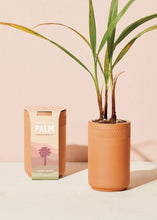 Load image into Gallery viewer, Terracotta Kit - Palm - Tigertree
