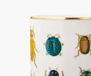 Porcelain Vase - BEETLES & BUGS - Tigertree