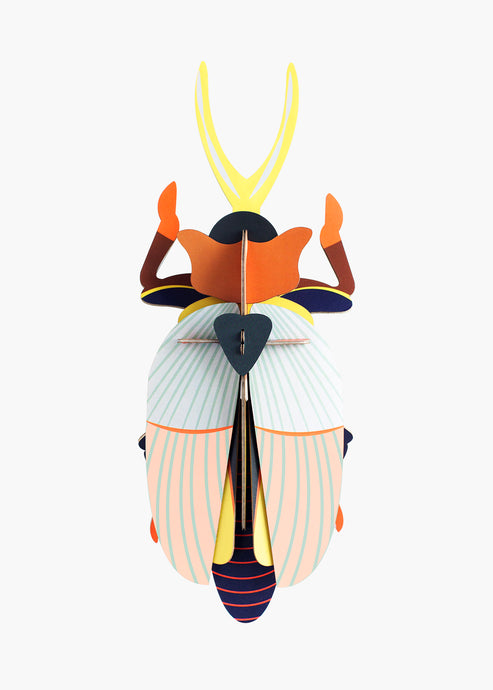 3D Rhinoceros Beetle Kit - Tigertree