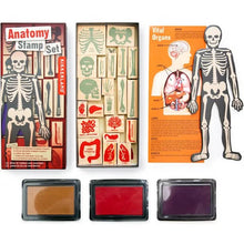 Load image into Gallery viewer, Anatomy Stamp Set - Tigertree
