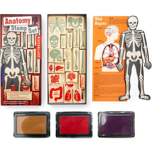 Anatomy Stamp Set - Tigertree