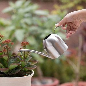 Stainless Steel Watering Can - Tigertree