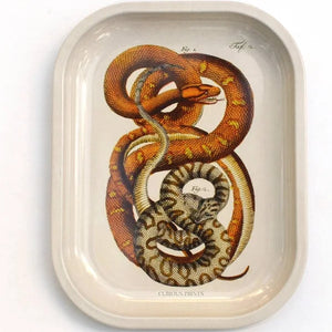 Metal Snake Tray - Tigertree