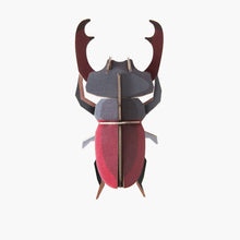 Load image into Gallery viewer, Small Stag Beetle - Tigertree
