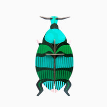Load image into Gallery viewer, Weevil Beetle - Tigertree
